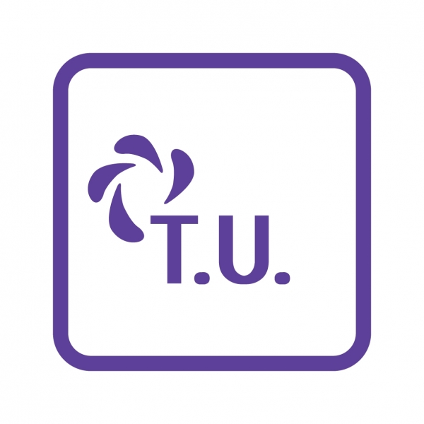 T.U (Terminais e Uniões)